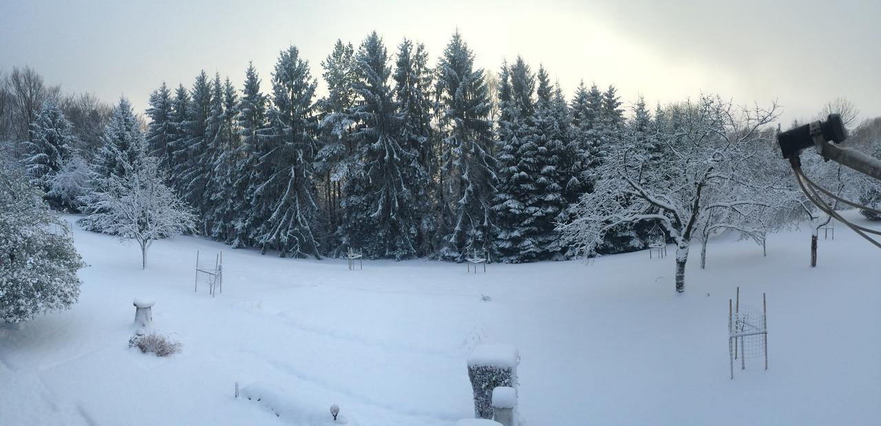 Gite Et Chambre D'Hotes La Petite Source Dabo Luaran gambar